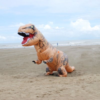 inflatable trex costume