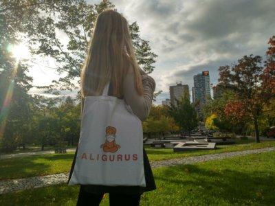 aligurus shopping bag from Aliexpress